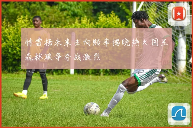 特雷杨未来去向赔率揭晓热火国王森林狼争夺战激烈