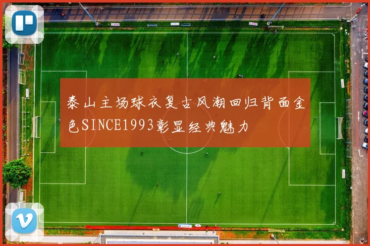 泰山主场球衣复古风潮回归背面金色SINCE1993彰显经典魅力