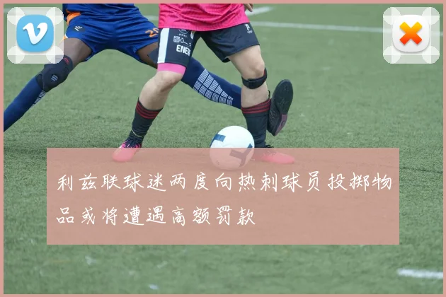 利兹联球迷两度向热刺球员投掷物品或将遭遇高额罚款